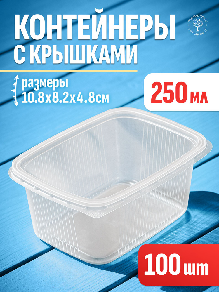 Контейнеры одноразовые с крышкой 250 мл 100 шт для еды и заморозки ягод, пластиковые #1