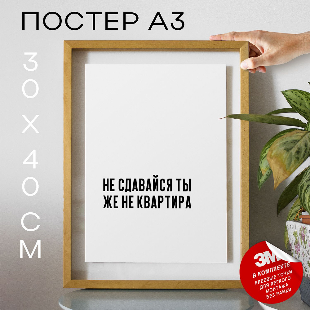 Постер "Не сдавайся ты же не квартира", 40 см х 30 см #1