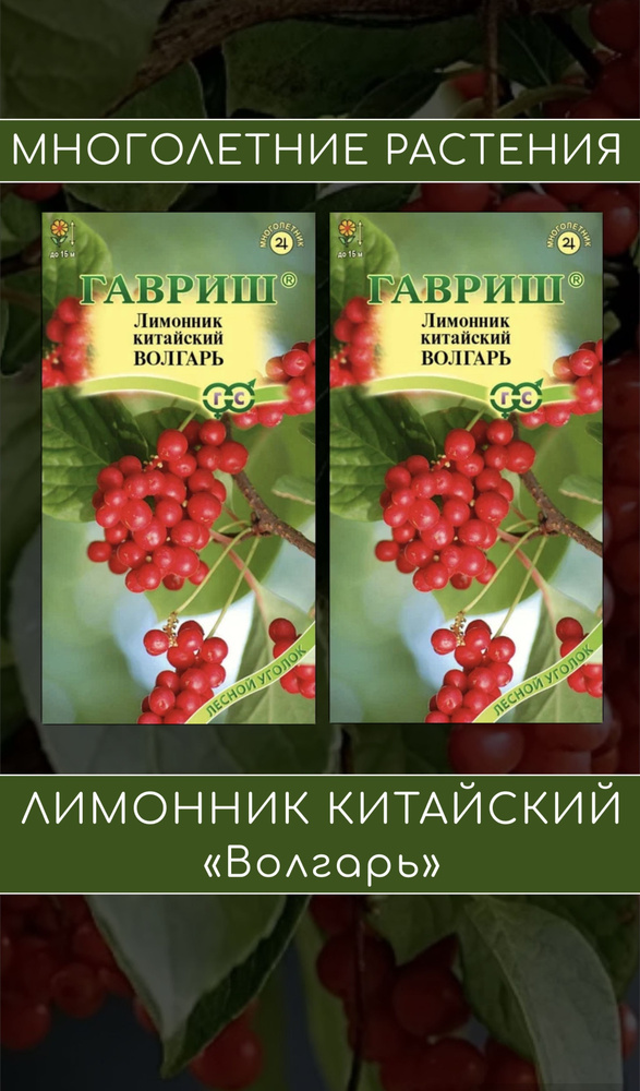 Лимонник китайский Волгарь 2 упаковки #1