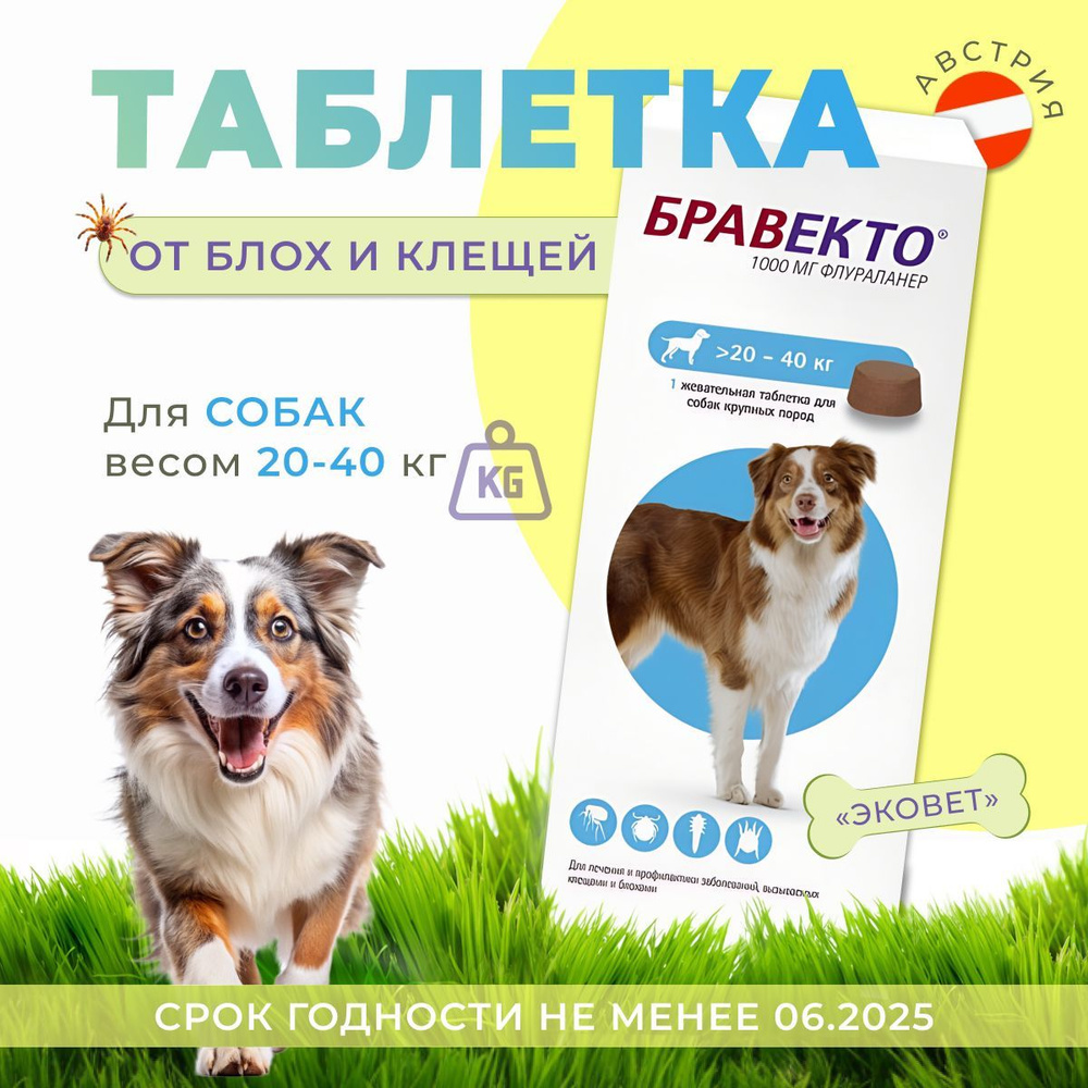 Бравекто таблетка жевательная от клещей и блох для собак весом 20-40 кг ...