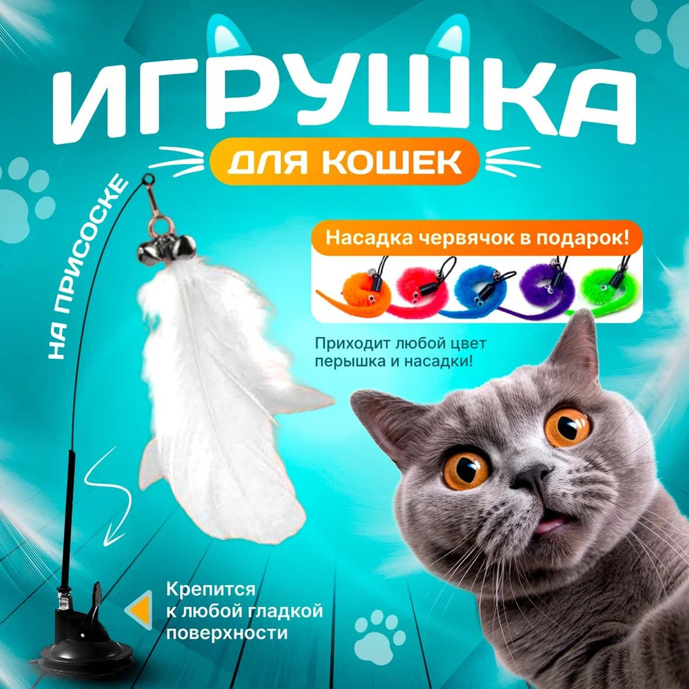 Игрушка для кошек и котят удочка дразнилка на присоске с перьями и  червячком. - купить с доставкой по выгодным ценам в интернет-магазине OZON  (1511685494)