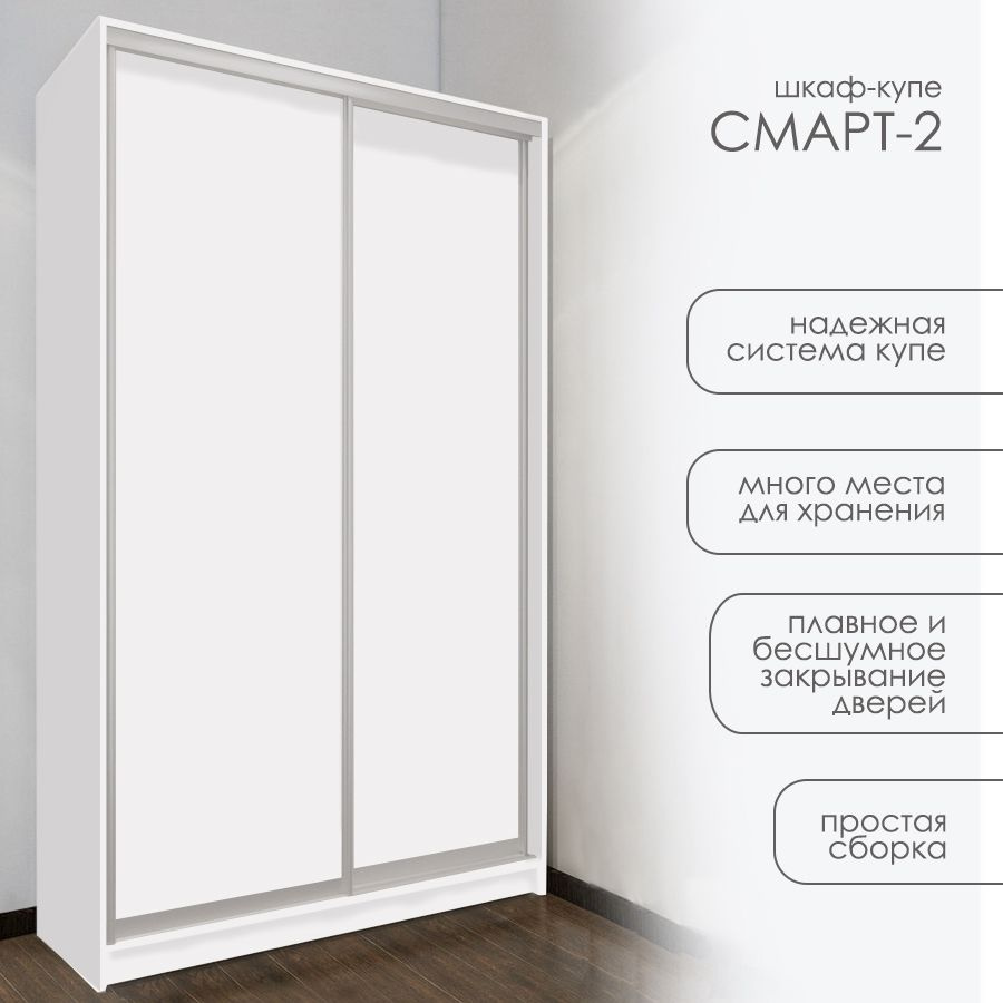 Шкаф-купе Смарт-2, 100*220*40, белый гладкий, серебро матовое, без зеркал, платье/белье #1
