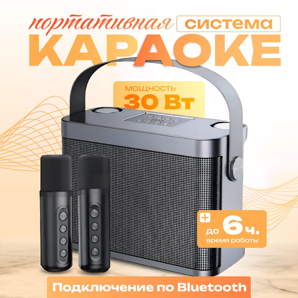 Портативная караоке колонка с микрофонами SkyDisco YS-219