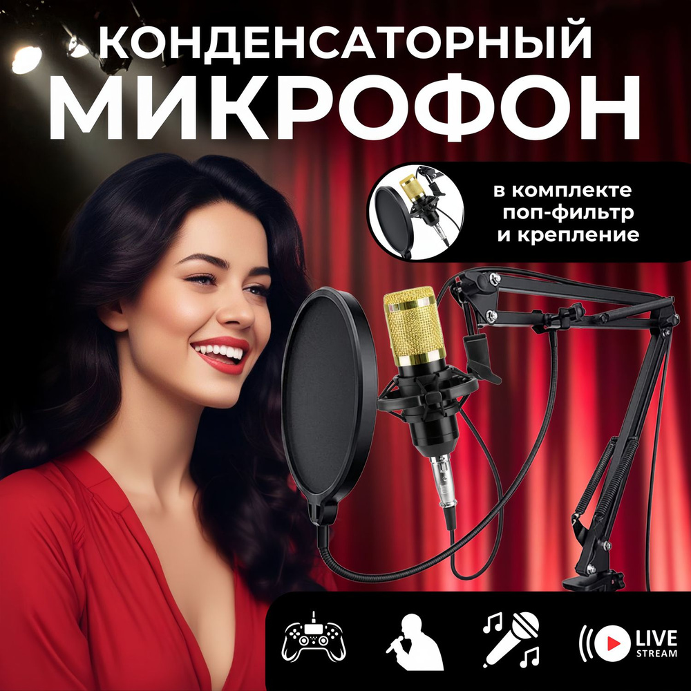 Микрофон СМОТРЯ СКОЛЬКО DETAILS конденсаторный - купить по выгодной ...