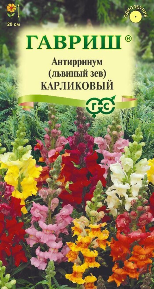 Семена Антирринум (Львиный зев) Карликовый, смесь 0,05 г #1