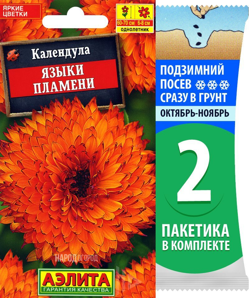 Семена Календула Языки Пламени, 2 пакетика по 0,5г/40шт #1