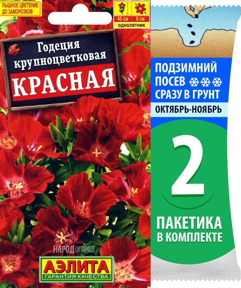 Семена Годеция Красная, однолетние цветы для сада, 2 пакетика по 0,05г/100шт  #1