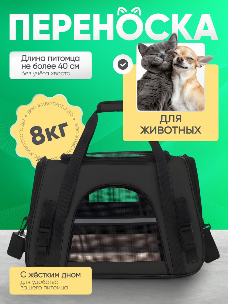 Переноска #1