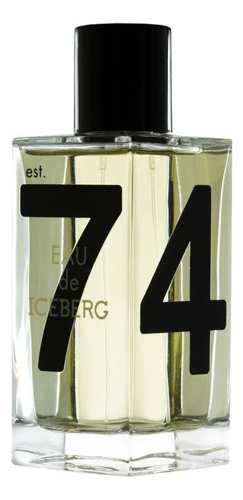 Iceberg Eau de pour homme туалетная вода 100мл #1