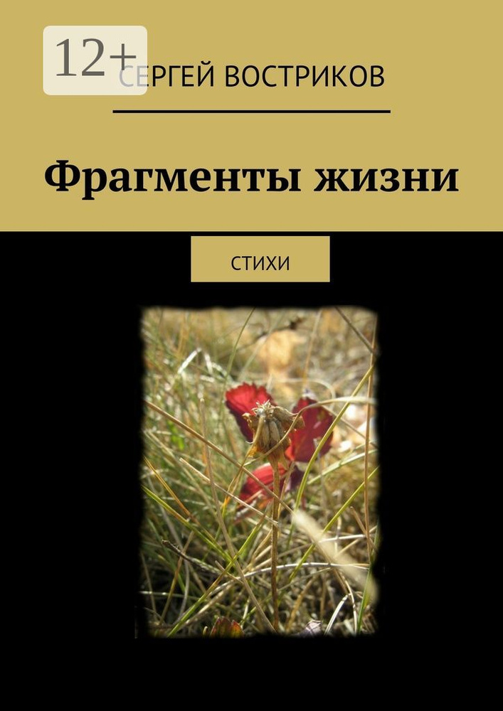 Фрагменты жизни. стихи #1