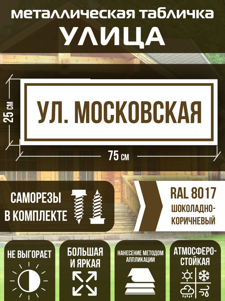 Адресная табличка на дом улица Московская RAL 8017 коричневая  #1