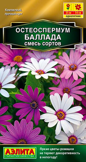 Семена Остеоспермум Баллада,смесь сортов, 10 штук семян ,Агрофирма Аэлита #1