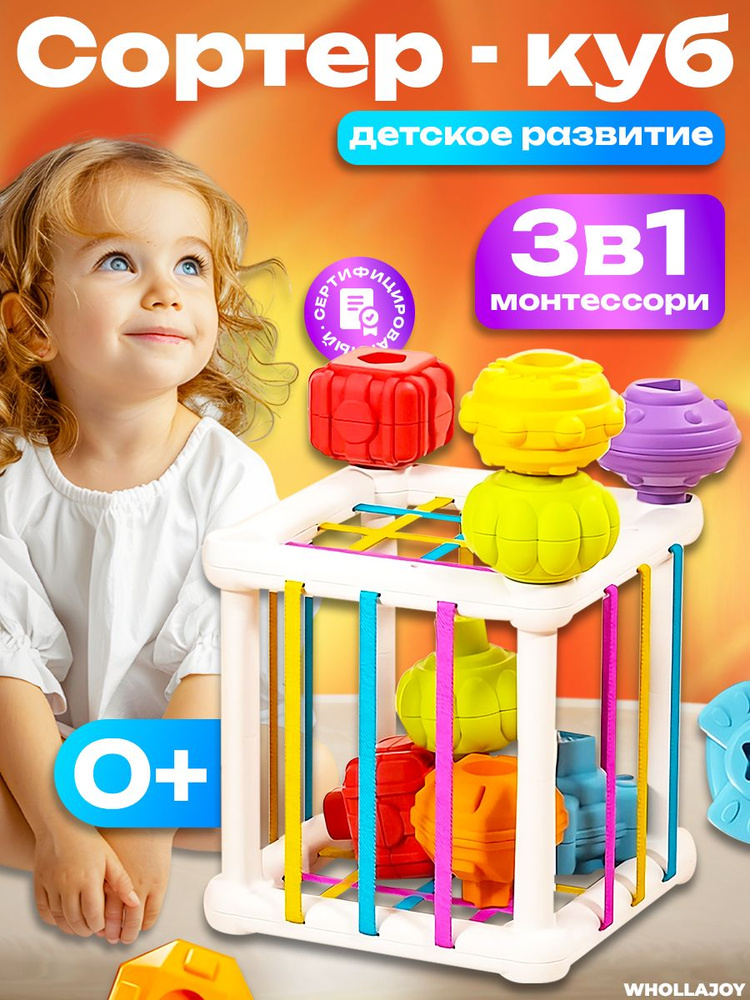 Сортер #1