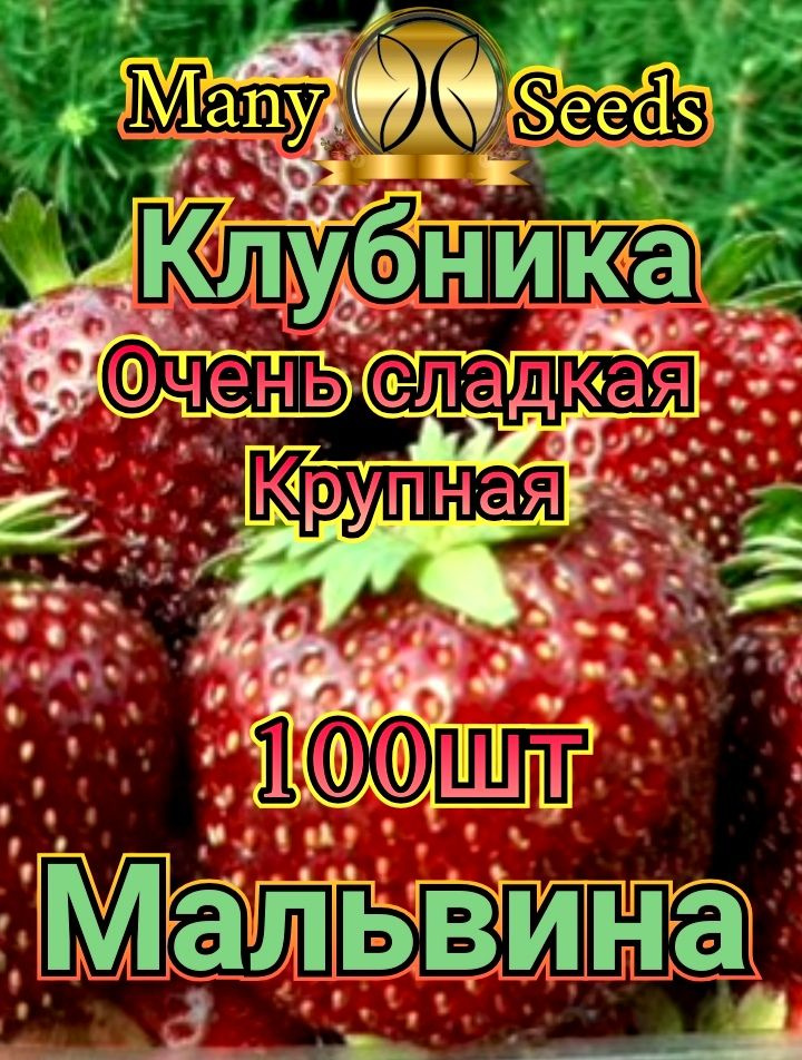 Семена ,100шт #1