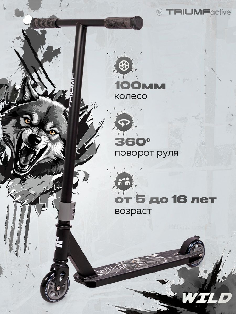 Самокат трюковой Triumf Active, серый #1