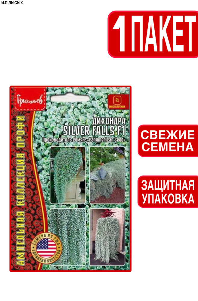 Дихондра Silver Falls #1