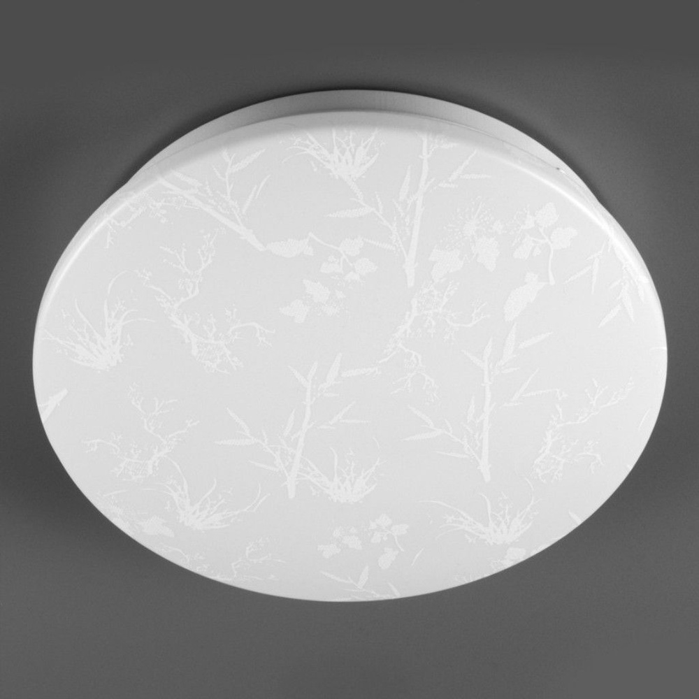 Светильник потолочный светодиодный General Lighting Systems GSMCL-020-24 Plant 24Вт 1560лм 6500К IP20 #1