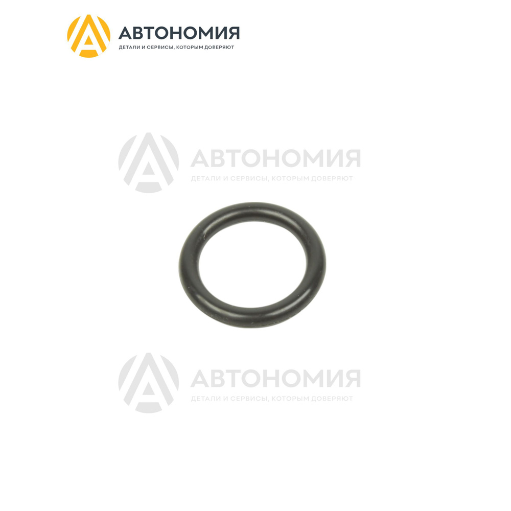 Кольцо уплотнительное Mazda L341-13-203 #1
