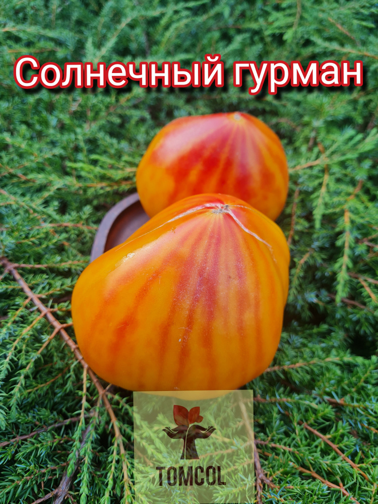 Семена #1