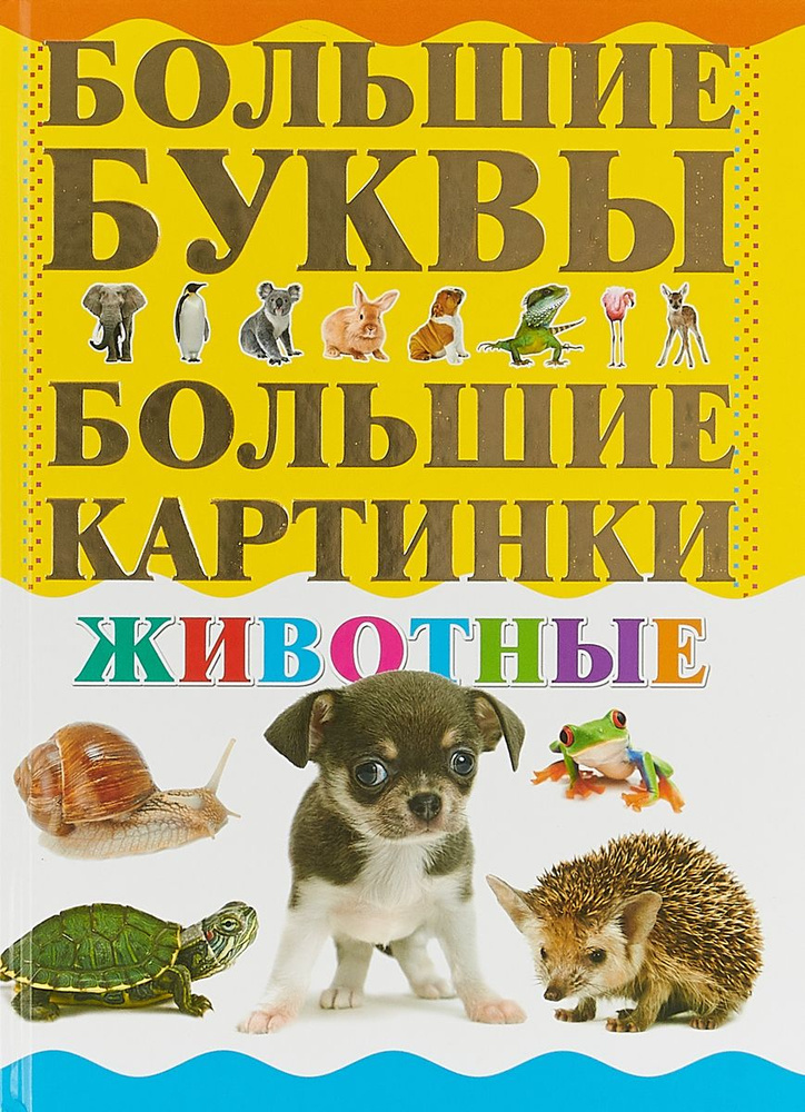 Животные #1