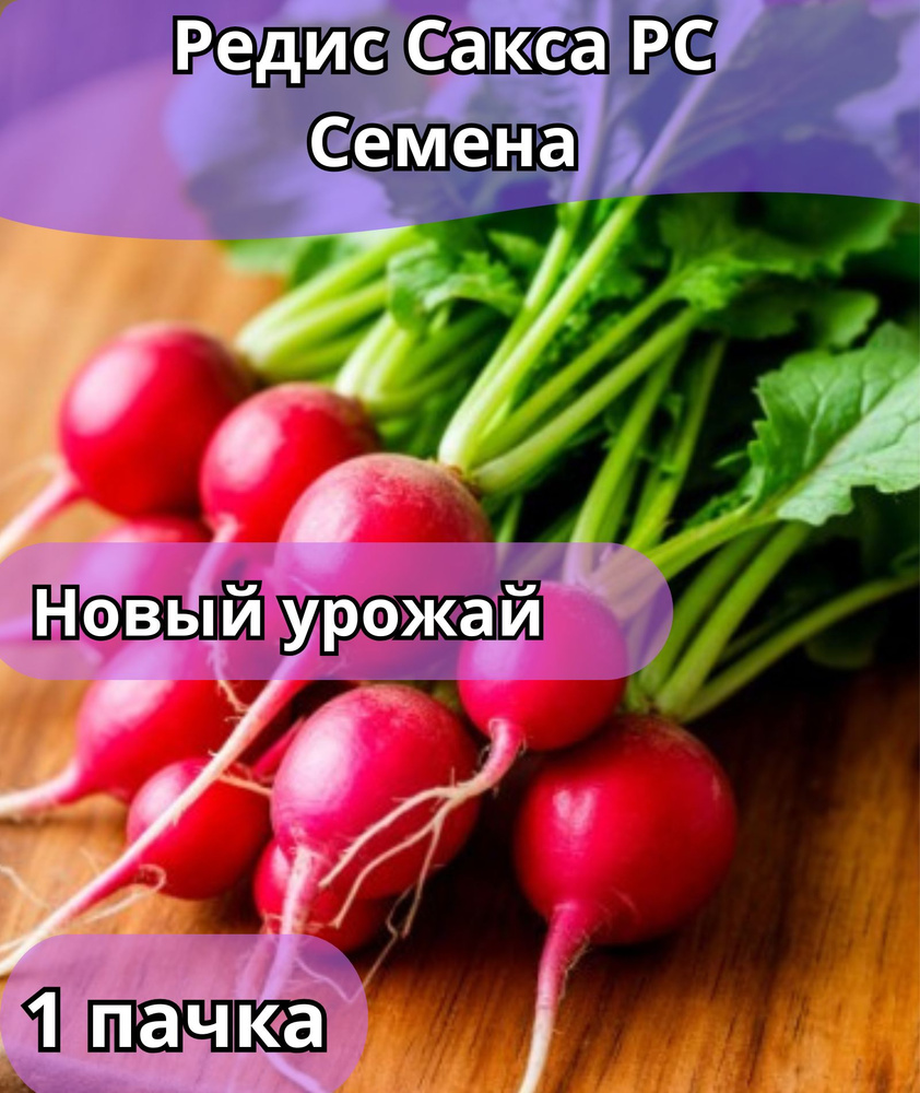 Редис Сакса РС, семена 10 шт #1