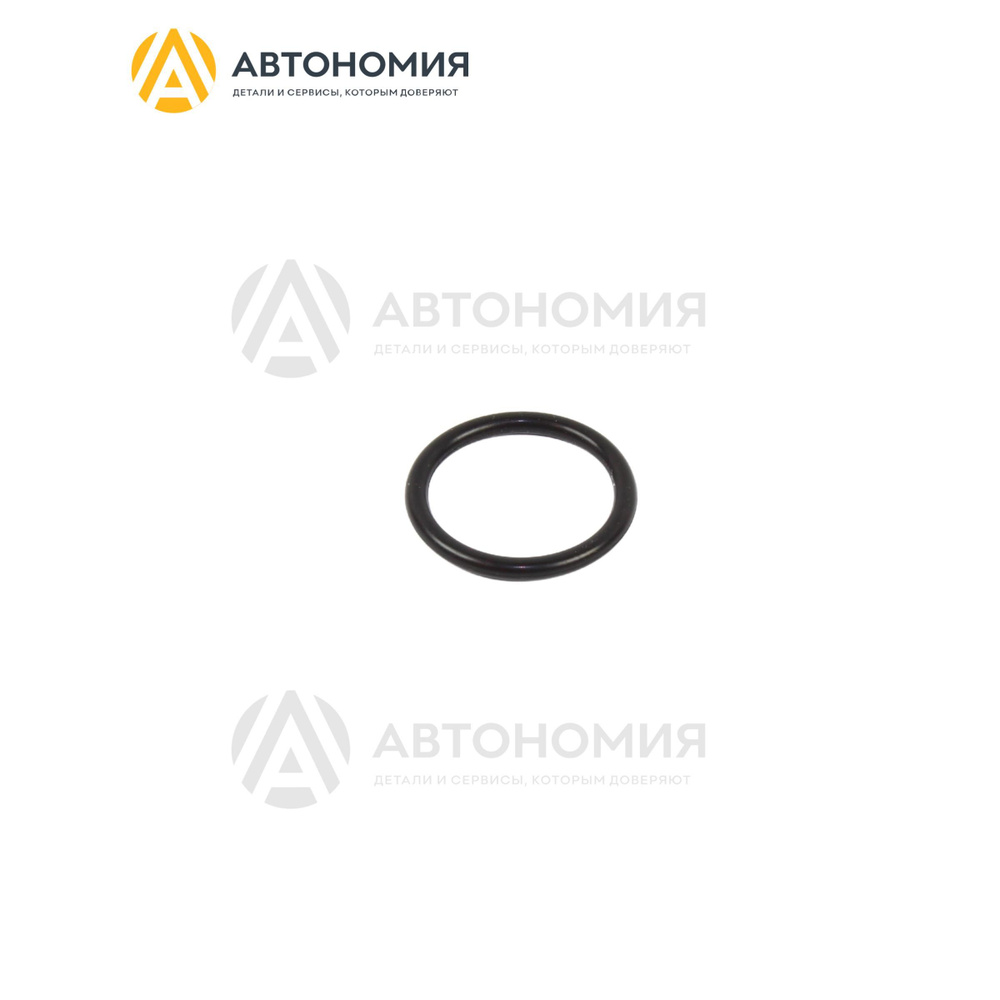 Кольцо уплотнительное Subaru 806919120 #1