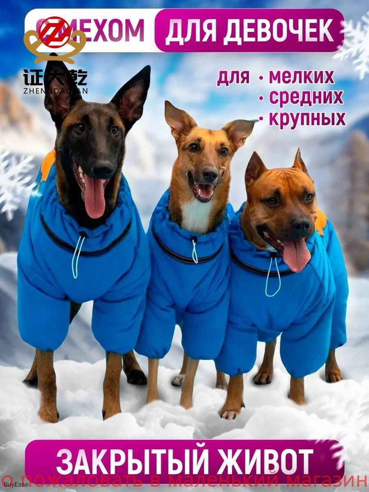 Одежда для животных #1