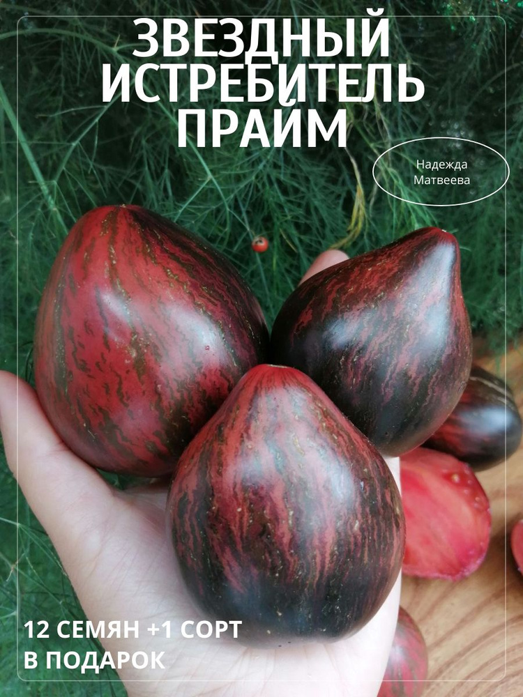 Семена #1