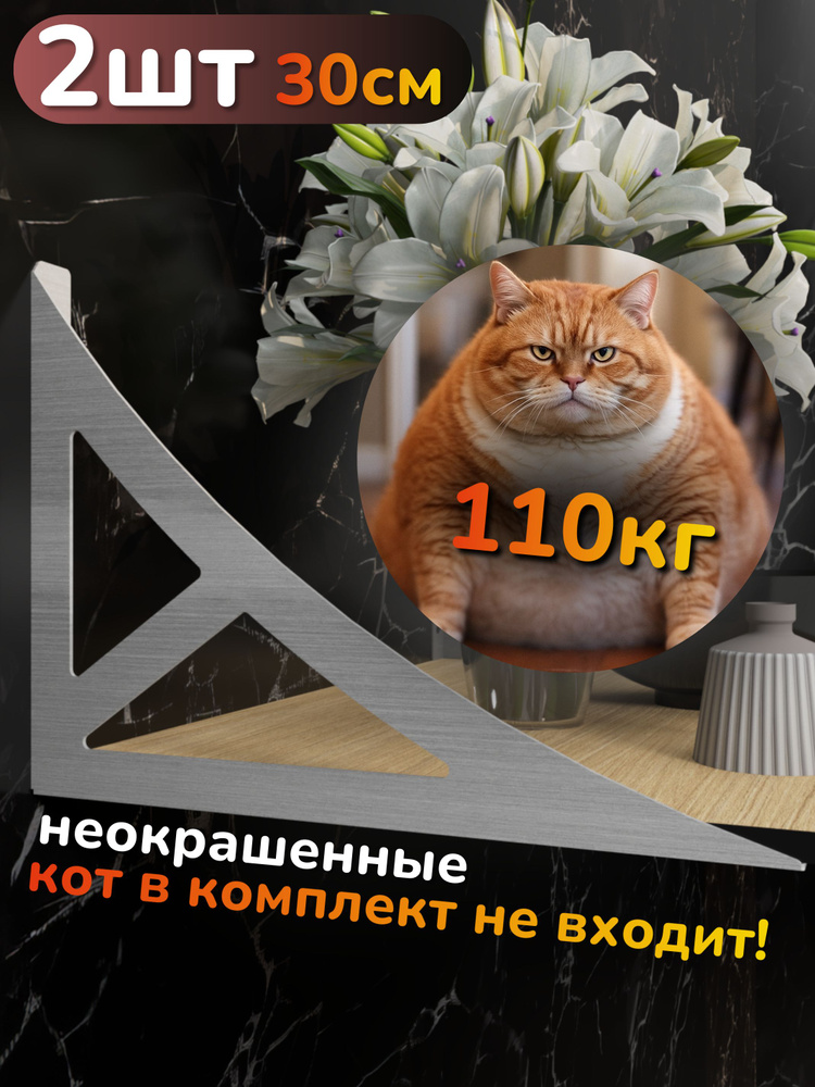 Усиленный кронштейн для полки и микроволновки на стену. Металл 2шт. Россия. 100кг #1