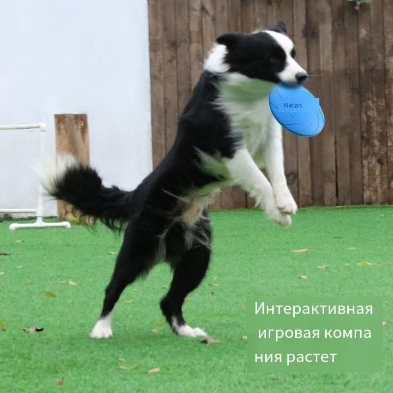 Фрисби #1