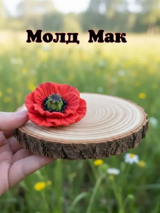 Молд " Мак " #1