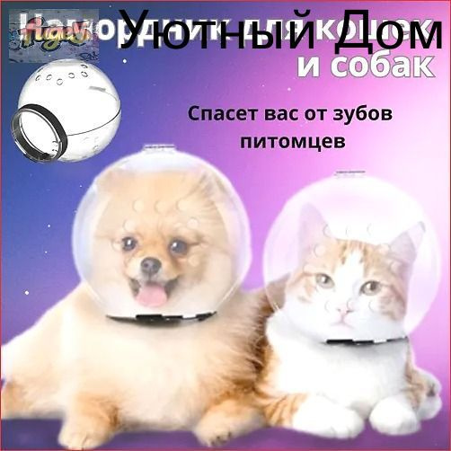 Намордник #1