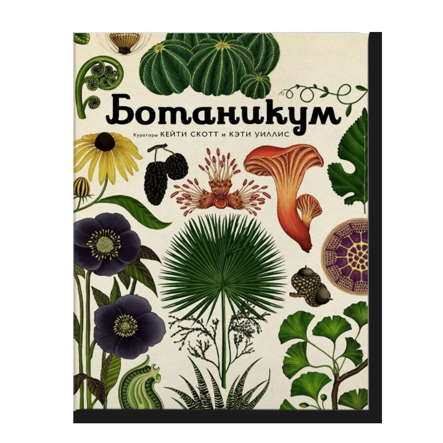 Книга "Ботаникум" #1