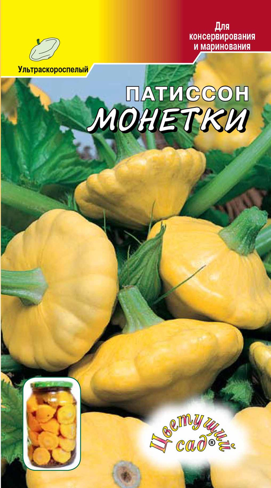 Патиссон Монетки #1