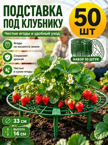 30-5-50-ozon-4599030288