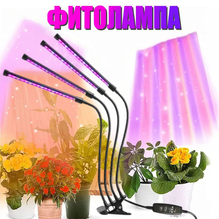 7152862080 7152862080