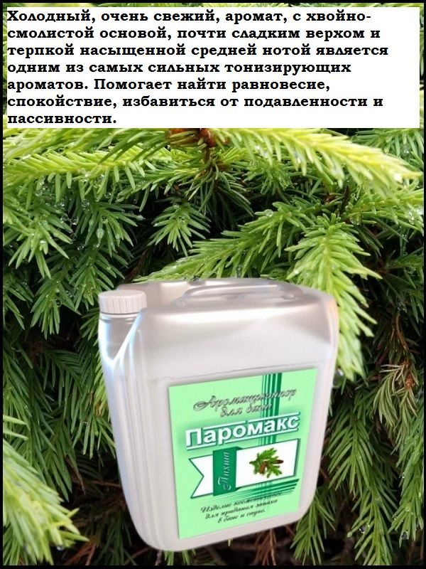 Холодный, очень свежий, аромат, с хвойно-смолистой основой, почти сладким верхом и терпкой насыщенной средней нотой является одним из самых сильных тонизирующих ароматов. Помогает найти равновесие, спокойствие, избавиться от подавленности и пассивности.