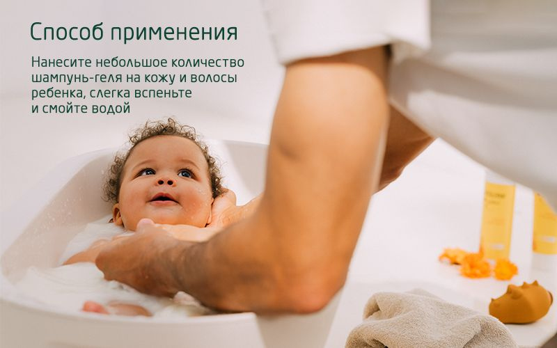 Текстовое описание изображения