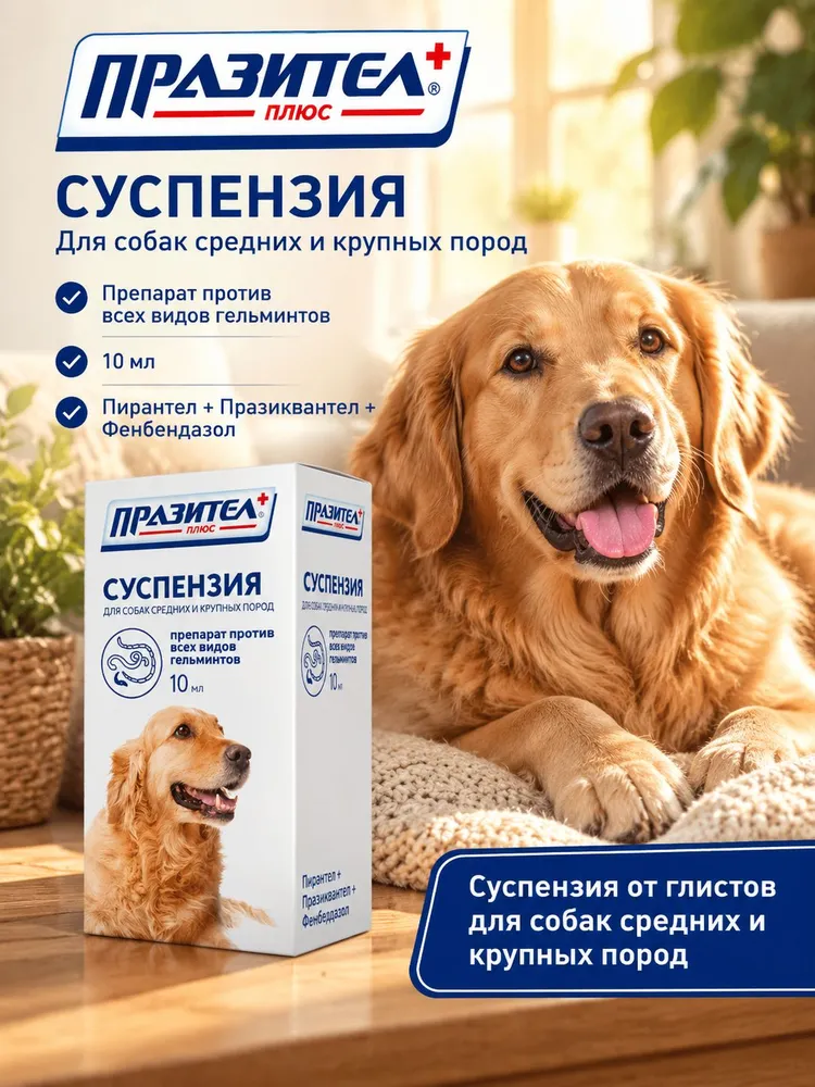 Празител Плюс суспензия от глистов для собак средних и крупных пород, антигельминтное средство, вариант