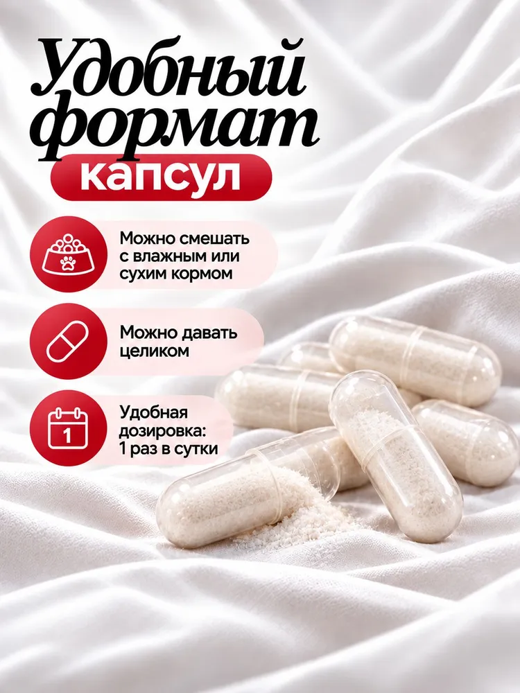 Глюкозамин хондроитин мсм LapviX для суставов собак и кошек в капсулах 60 шт, 60 шт, фото 3