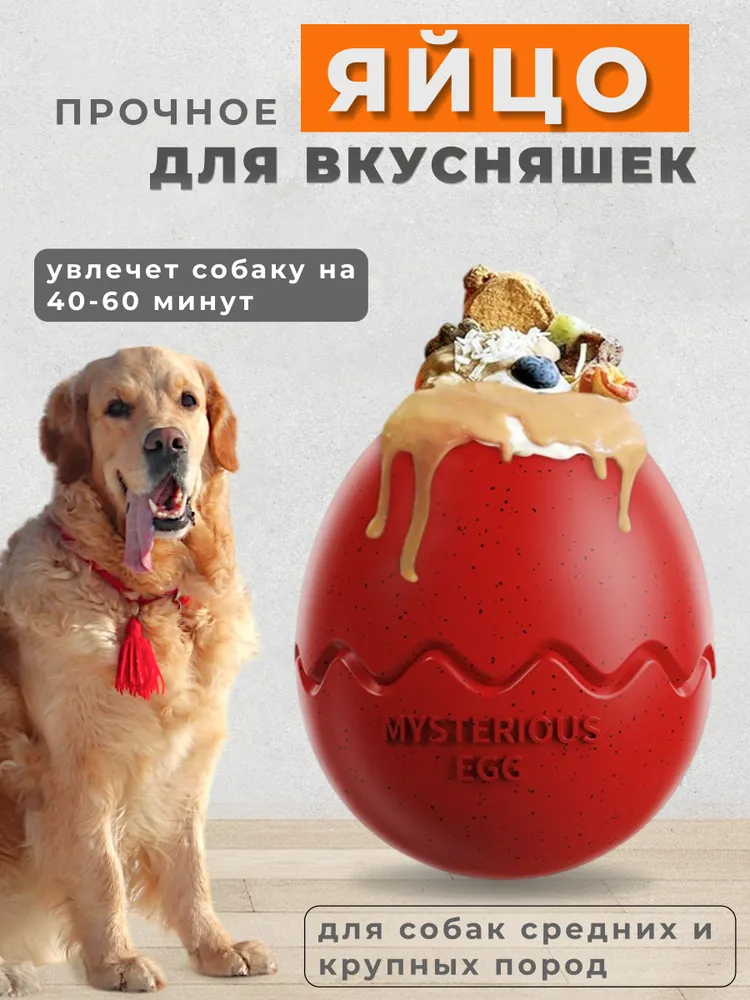 Интерактивная игрушка для собак Яйцо, вариант