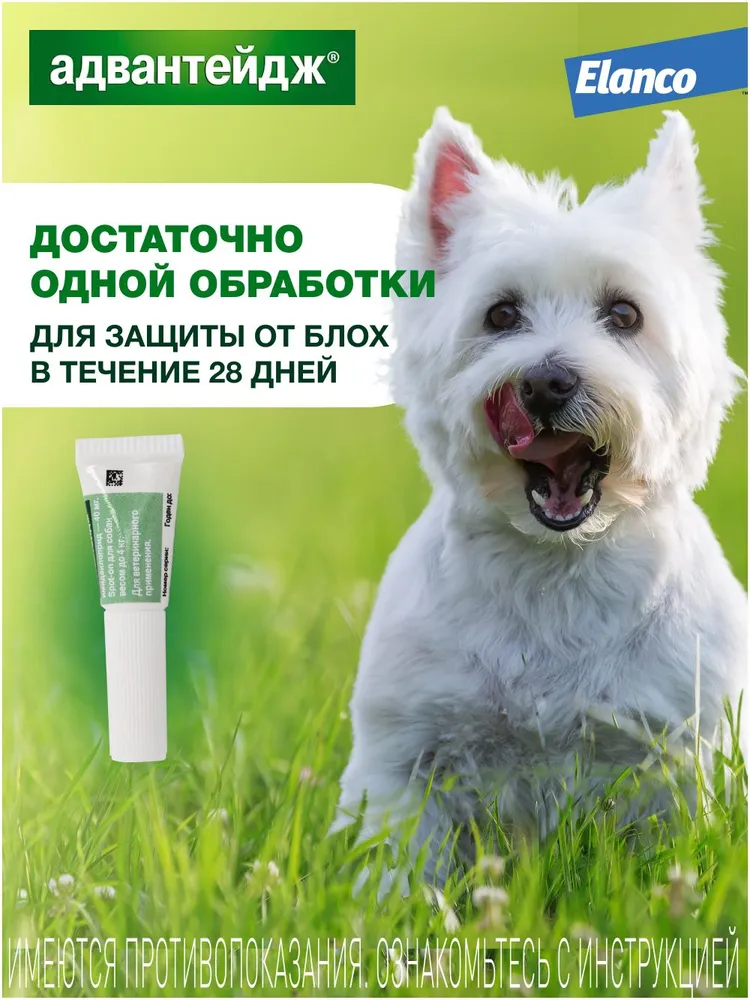 Адвантейдж® капли на холку от блох для собак 4-10 кг – 4 пипетки, 10 кг, фото 4