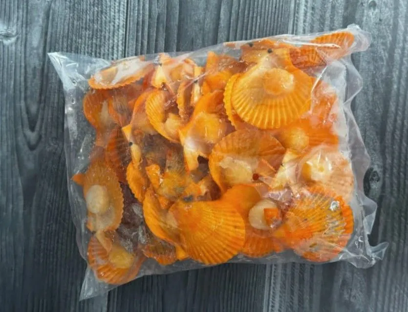 Золотой гребешок 1 кг на полустворке раковины, 1 кг, фото 4
