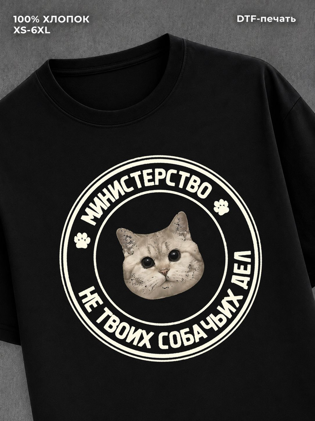 Футболка Министерство