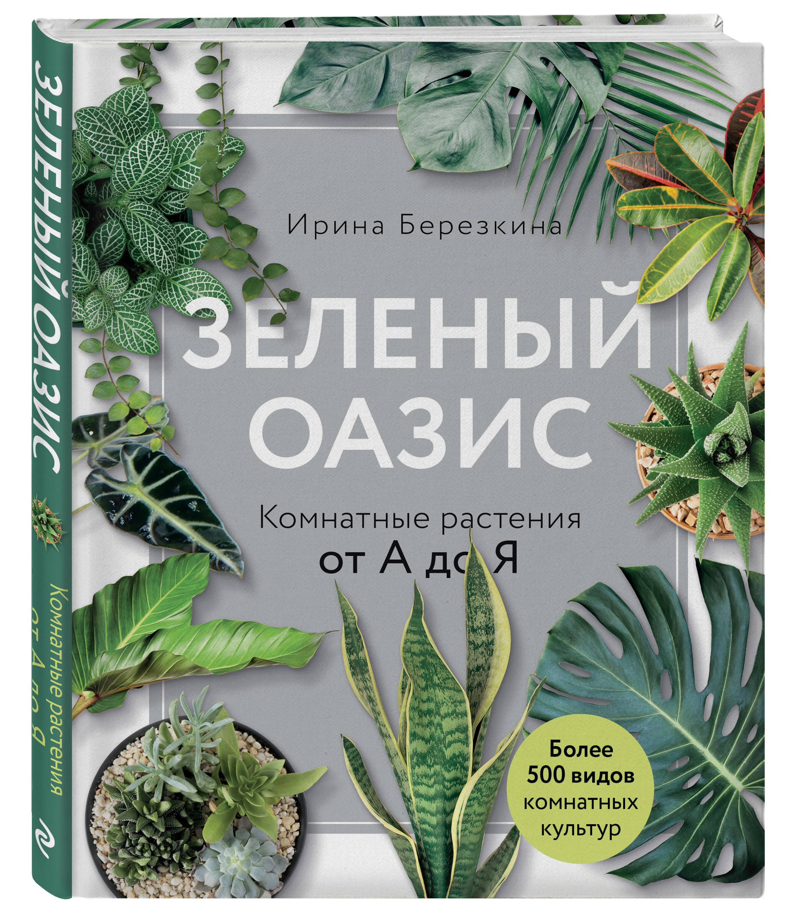 Анна - Городской оазис - 50 фото Анна - Городской оазис - 50 фото