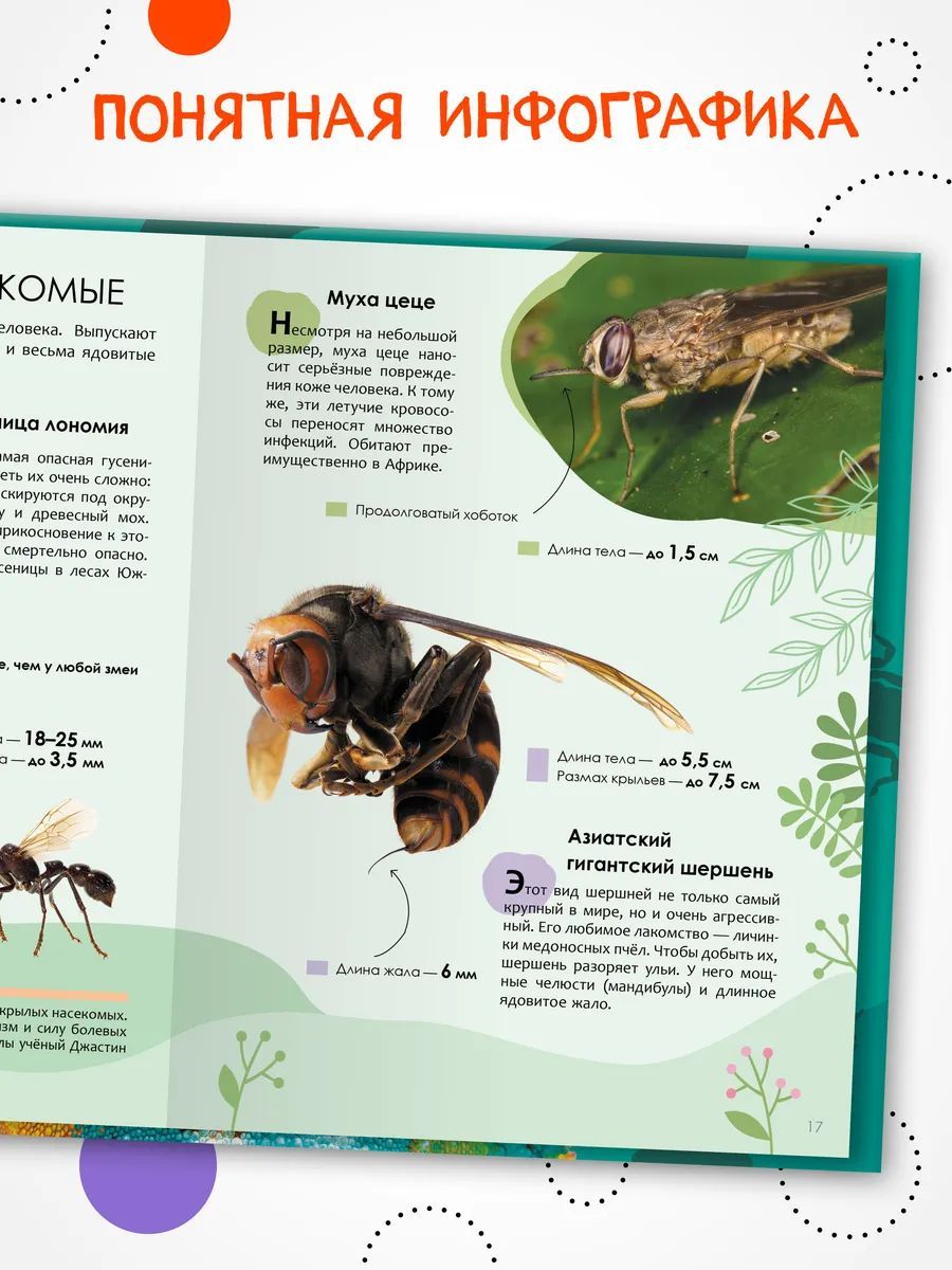 Энциклопедия для школьника 7+. Познавательная, развивающая книга для детей. Подарок ребенку | Encyclopedia for 7+ Schoolchildren. Educational Book About Animals - Ozon image 3