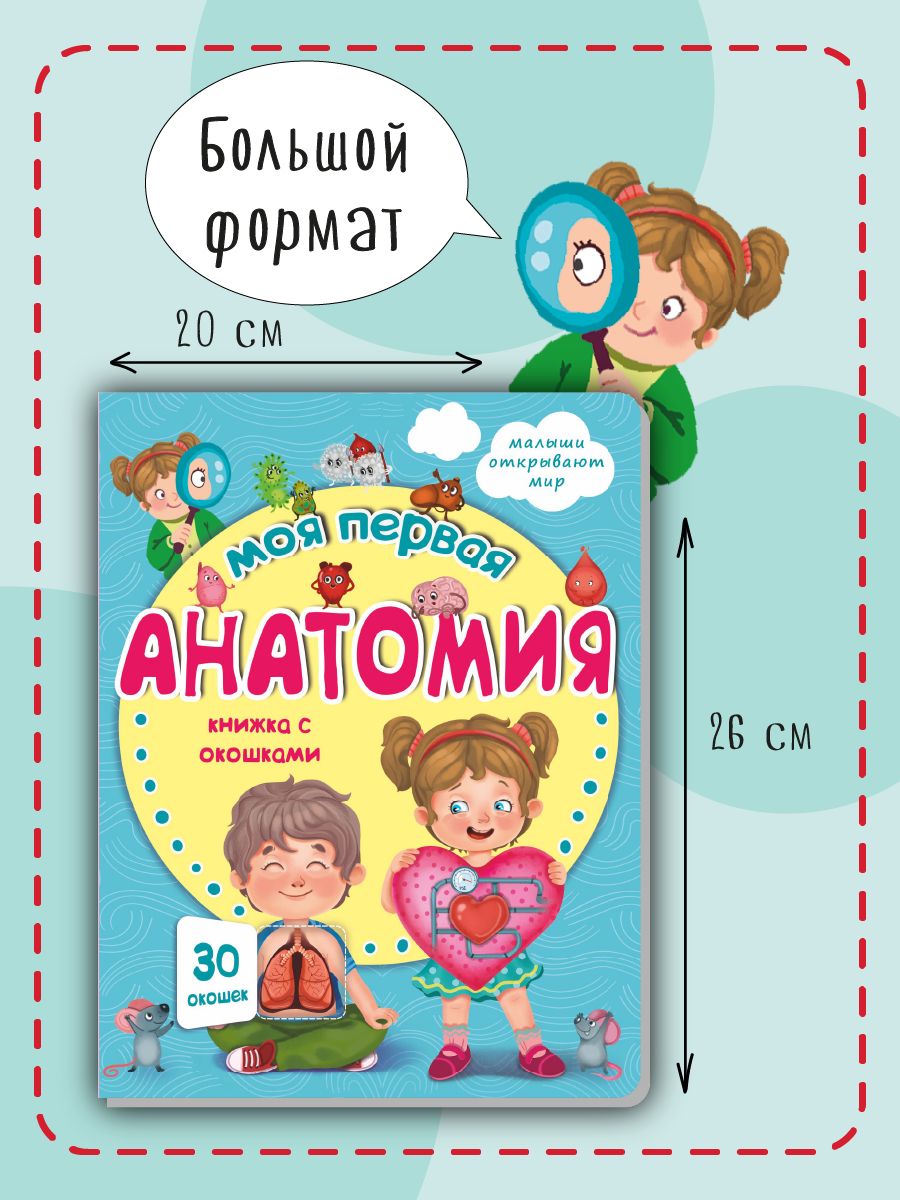 Книга детская для малышей с окошками Виммельбух | Cardboard Book for Toddlers - Ozon image 6