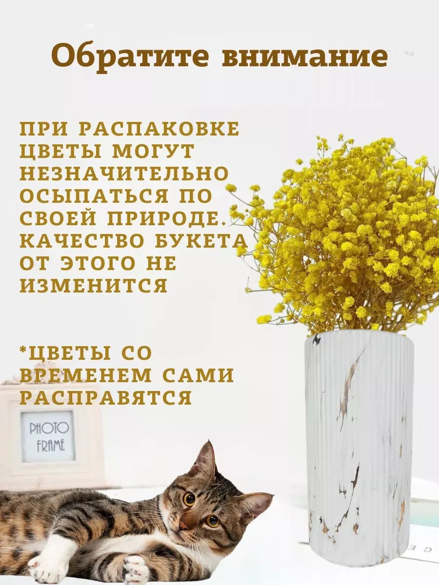 гимсофила 50-55cm арт.SJ-3 жёлтый