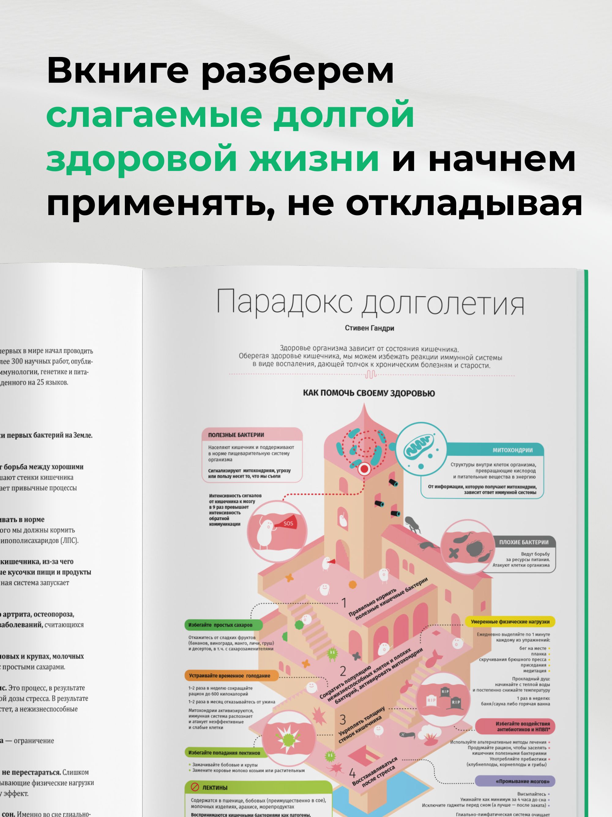Живи до 100. Визуальные инструменты долгой, здоровой и счастливой жизни по мотивам 12 бестселлеров | Live to 100: Visual Tools for a Long, Healthy, and Happy Life Based on 12 Bestsellers - Ozon image 5