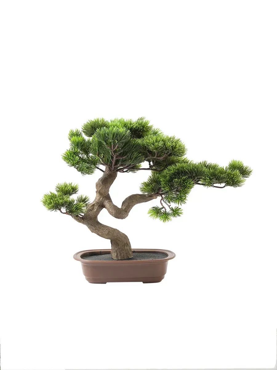 бонсай 42cm TH106148 Китай